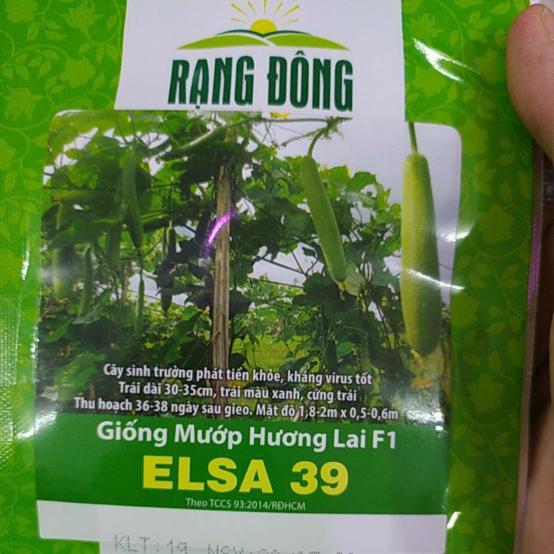 Mướp hương lai F1-ELSA 39-10k