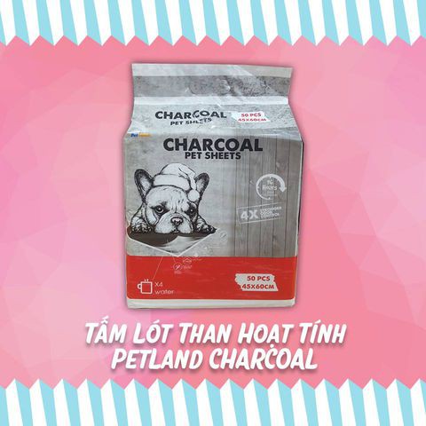 Tấm Lót Than Hoạt Tính Khử Mùi Charcoal 50 miếng/100 miếng