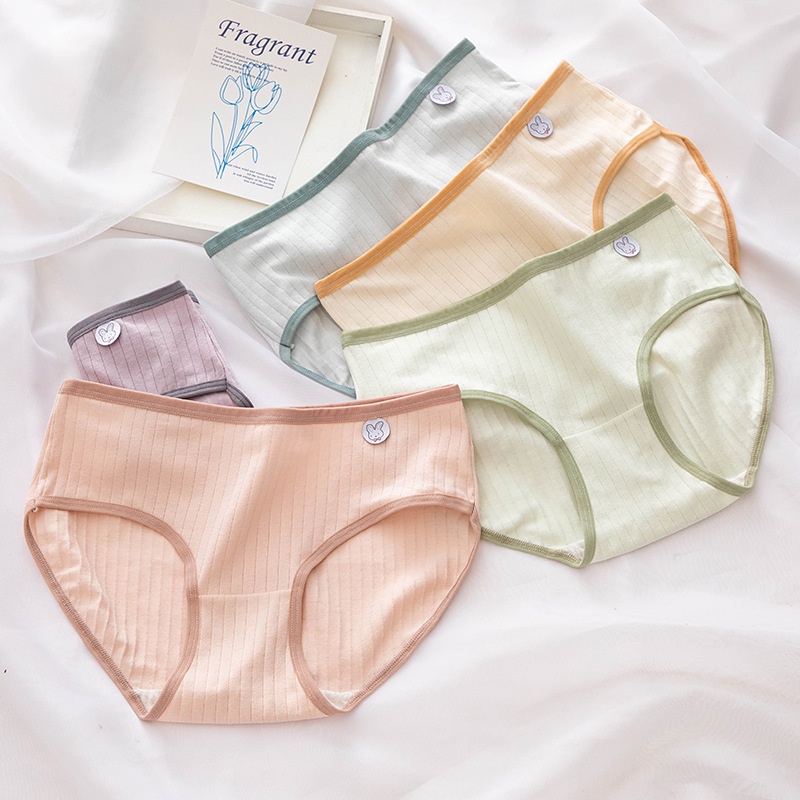 Quần lót nữ cotton cao cấp màu pastel thoáng khí co giãn kháng khuẩn 227 - HaSong