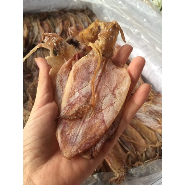 Combo 10 con mực khô a4 dày mình ngon ngọt