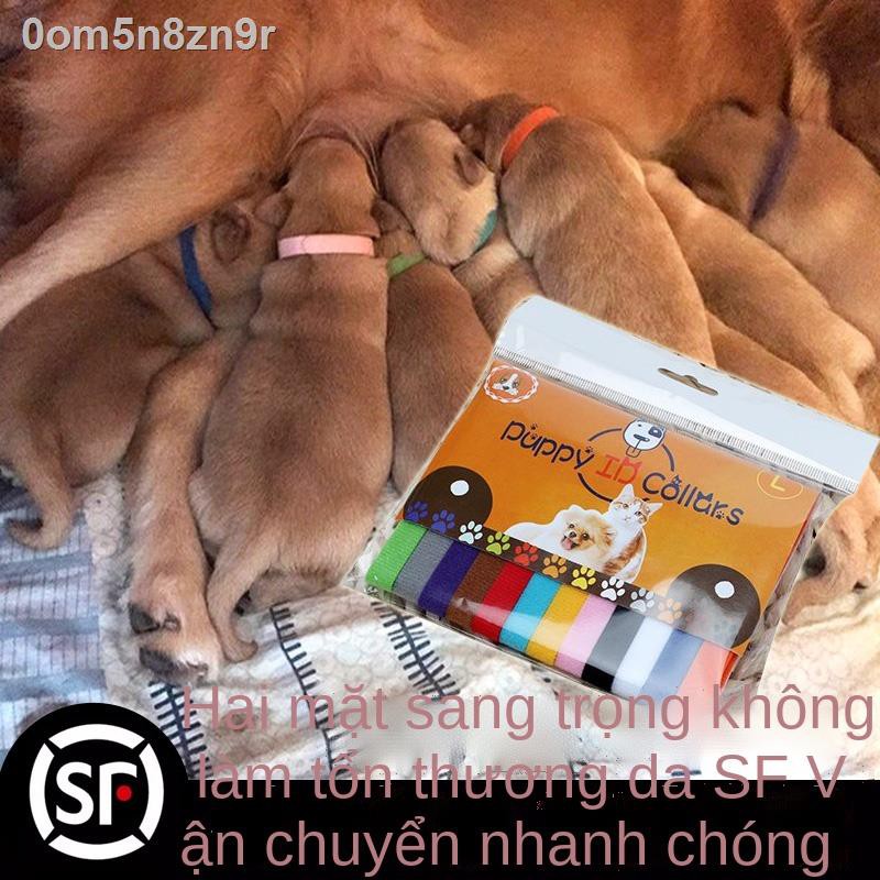 ❐Chó con sơ sinh, mèo, vòng nhận dạng vật nuôi, đánh dấu cổ, dây đeo dạng, cổ sữa, mèo con,