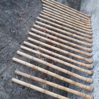 Phôi tiêu trúc bạch