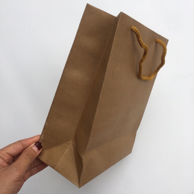 Túi giấy kraft nâu nhật giấy siêu dày, cực đơn giản và sang trọng - Phụ kiện Halu