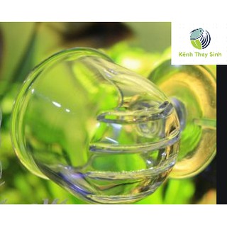 Cốc đựng thức ăn Trùng Chỉ, Trùng Huyết