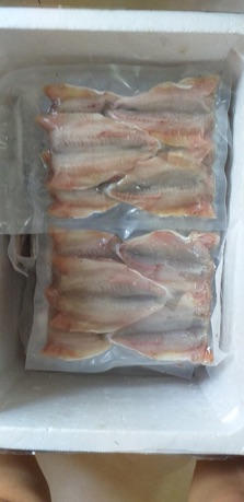 Cá Đù 1 nắng