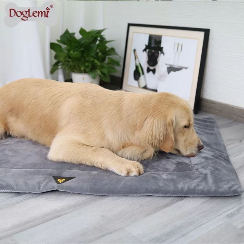 Thảm nệm cho chó mèo nhiều size tặng đồ chơi khúc xương xám