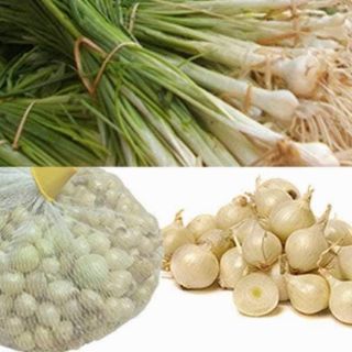 (chuyên sỉ) 1kg hành tăm ta (củ nén)Nghệ An
