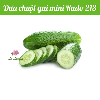 Hạt giống dưa chuột gai mini rd213 gói 1gr