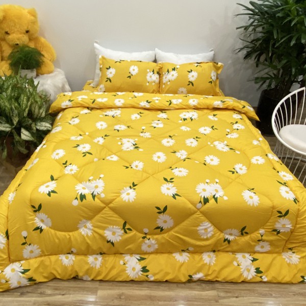 Bộ Drap & Chăn Phao 5 Món Cotton Poly Cúc Họa Mi Vàng