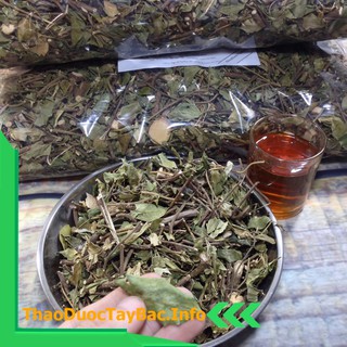 Dây Thìa Canh Lá To [1Kg]