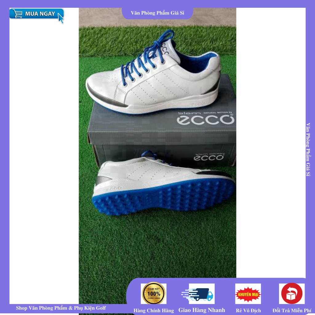 GIÀY ECCO dây buộc 2 màu, Hàng New cực đẹp [ GOLF GIÁ SỈ ]