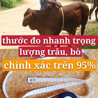 Thước đo trọng lượng trâu, bò