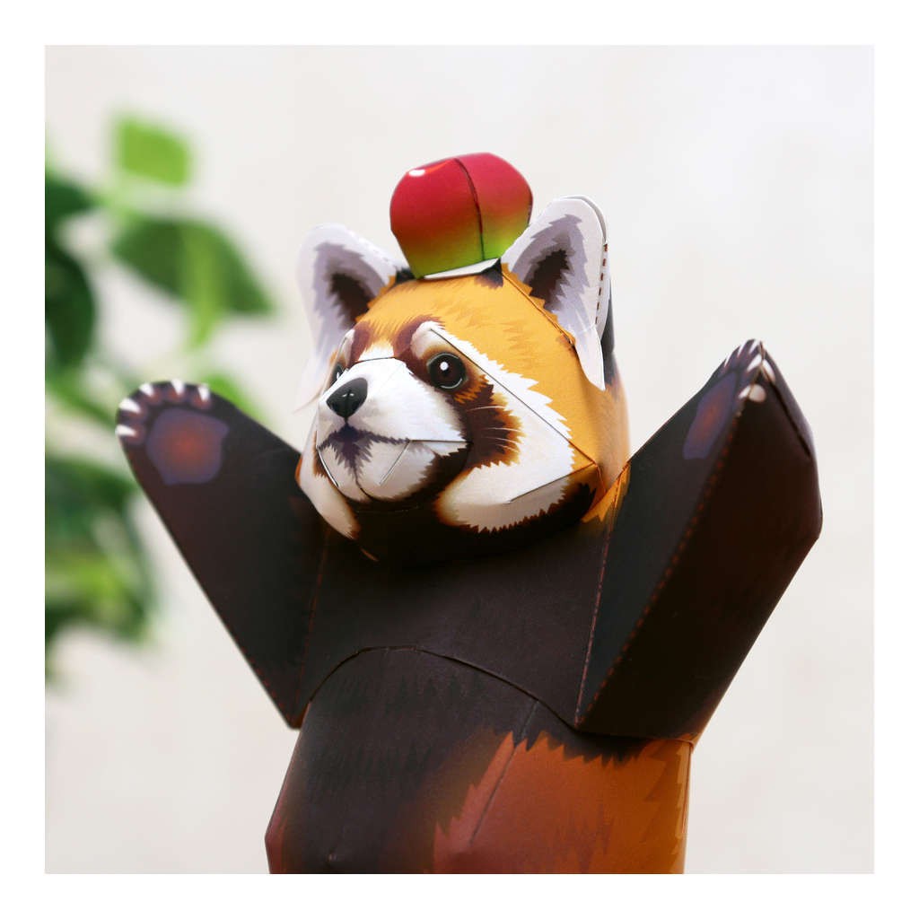 Mô hình giấy động vật Gấu trúc đỏ