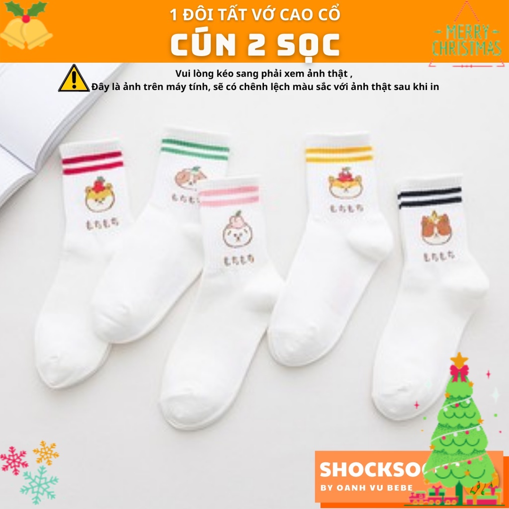 1 ĐÔI TẤT VỚ CAO CỔ 2 SỌC CÚN HOÀNG GIA