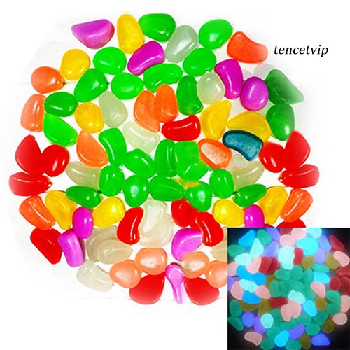 Set 10 Viên Đá Dạ Quang Trang Trí Bể Cá Và Sân Vườn