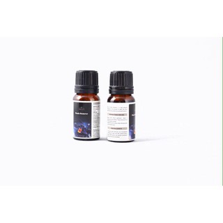 Chai phục hồi nhựa nhám WILLF1 PLASTIC&REMOVE