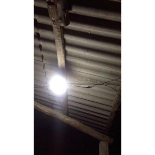 👉ĐÈN Bulb NLMT Công suất 50W- MAYOR WOLF