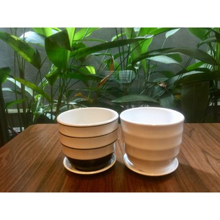 Chậu trồng cây sứ Bát Tràng