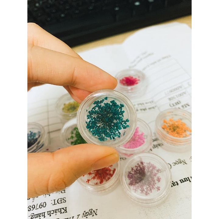 Khay hoa khô làm móng siêu đẹp làm móng