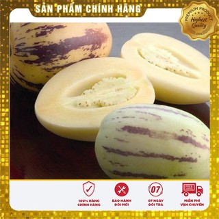 Hạt Giống Dưa Pepino Mỹ ( GÓI 4 HẠT F1 MỸ)