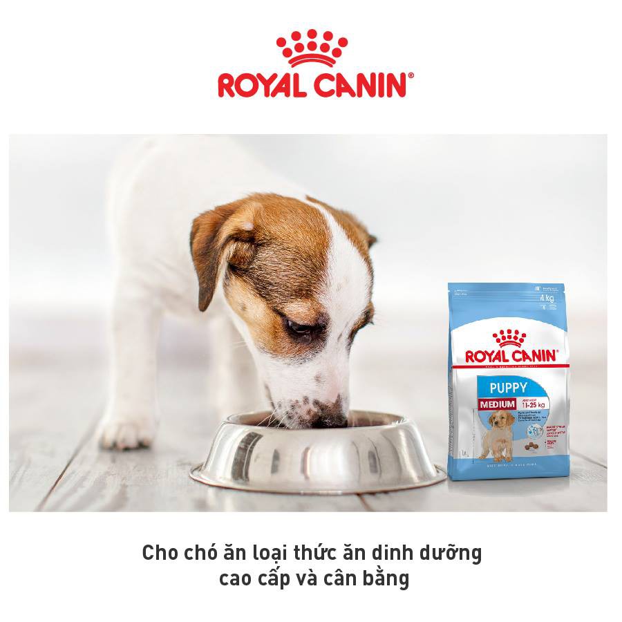 ROYAL CANIN - MEDIUM PUPPY [ CHÍNH HÃNG ] - THỨC ĂN HẠT CHO CHÓ TỪ 11-25KG