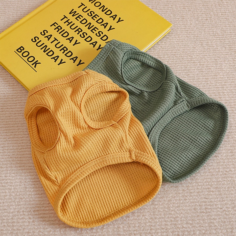 Áo thun dễ thương cho thú cưng phong cách Pháp