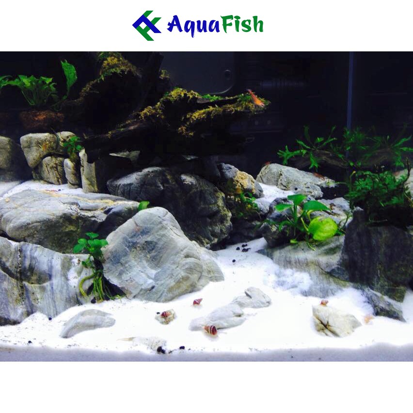 Cát Trắng Trang Trí Bể Cá Cảnh 1kg (cát trắng, đều và mịn)