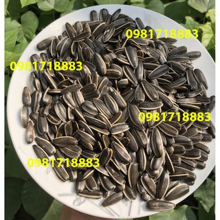 Hướng dương nguyên vị rang sẵn