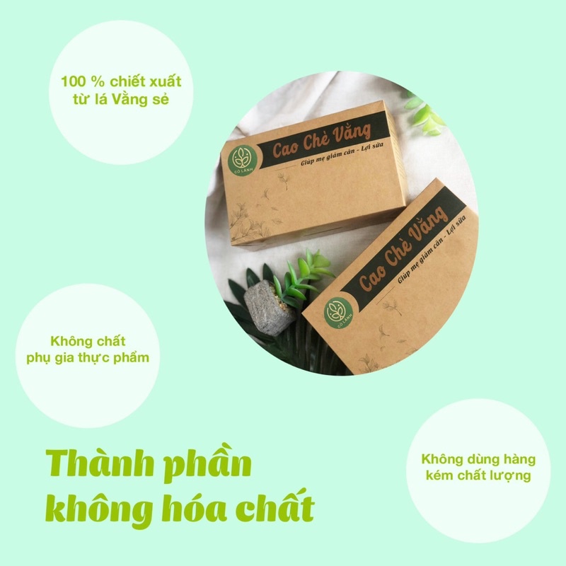 Cao chè vàng Cỏ Lành 500G - Lợi sữa, thanh nhiệt ,giải độc ngăn mụn nhọt