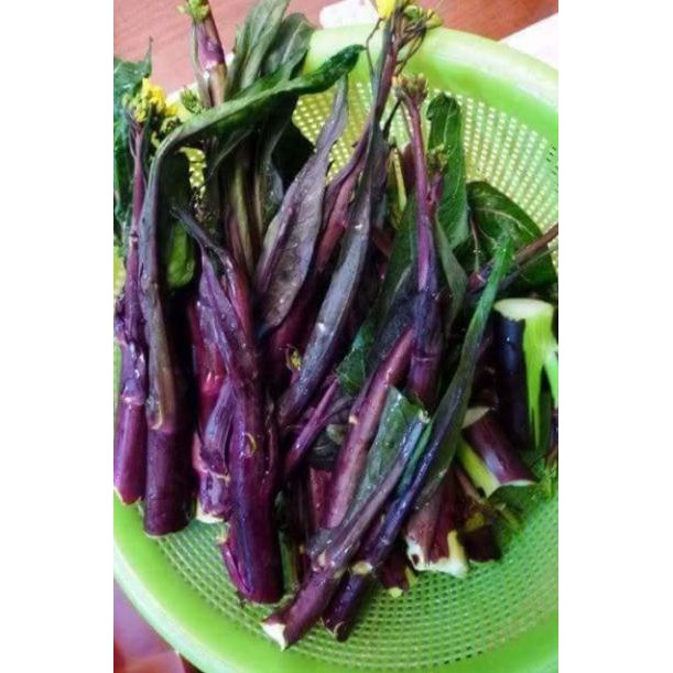 Hạt giống cài ngồng đỏ sanzi
