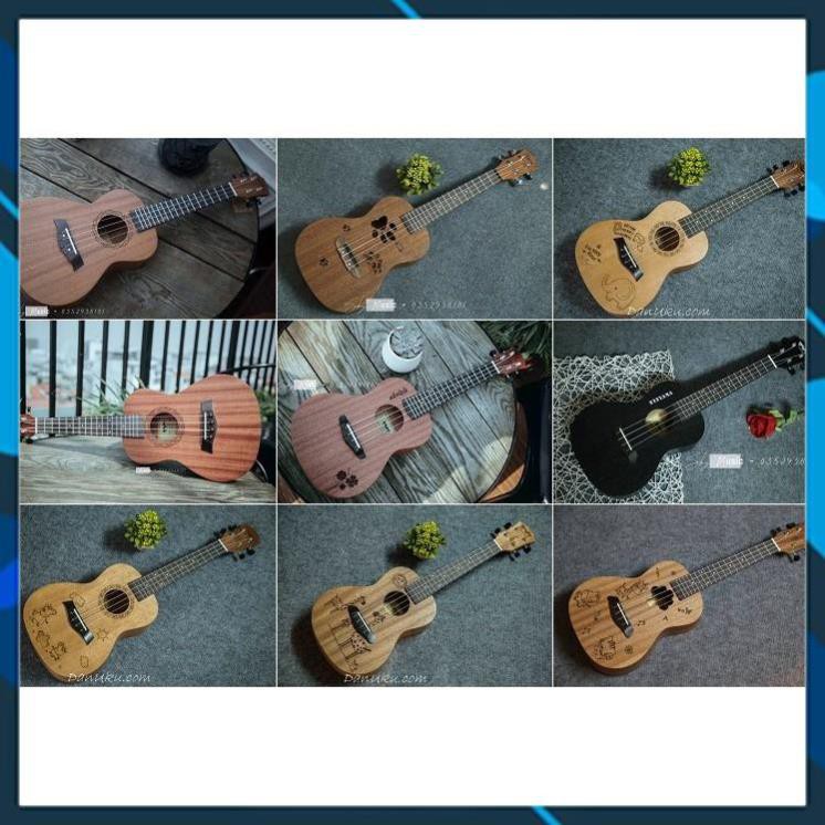 [RẺ VÔ ĐỊCH] Đàn Ukulele Concert 23inch Chính Hãng BWS (Tặng kèm 5 phụ kiện) Dành cho người mới tập