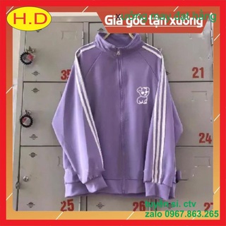 Áo khoác gió 3 rót chó Cụp tai
