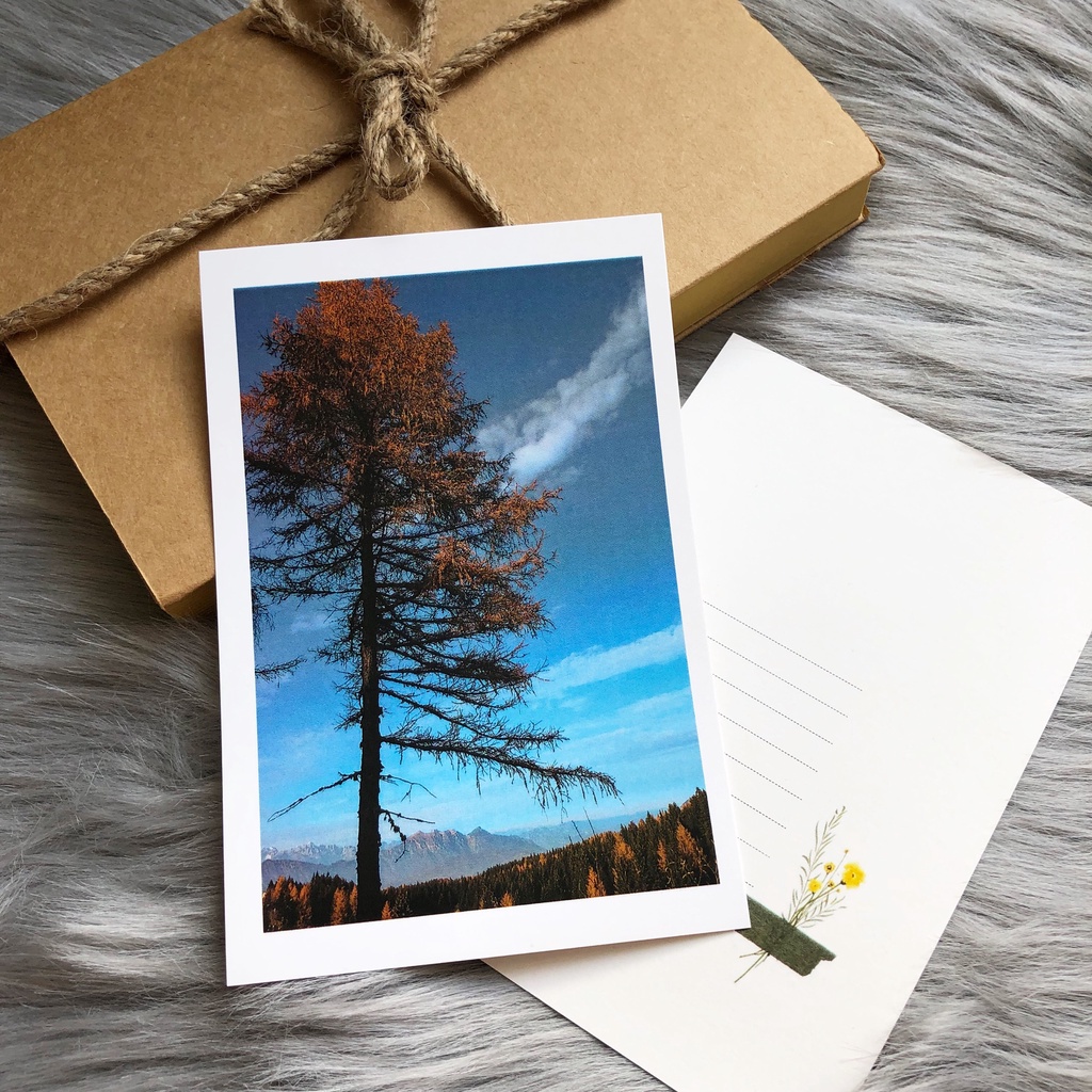 Postcard, Thiệp chúc mừng, Tranh trang trí BST mùa Thu  kèm bao thư Kraft