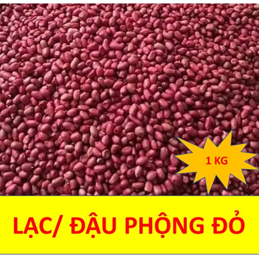Đậu phộng ( lạc) đỏ, sống, lạc nhân túi 1kg