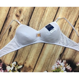 combo áo gấu học sinh