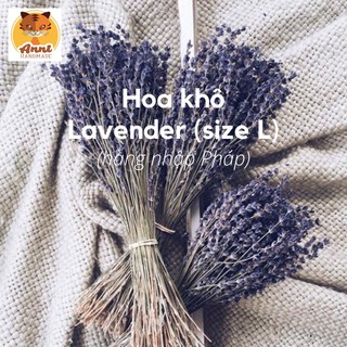 Bó hoa khô Lavender (hàng nhập Pháp) 200-250 cành
