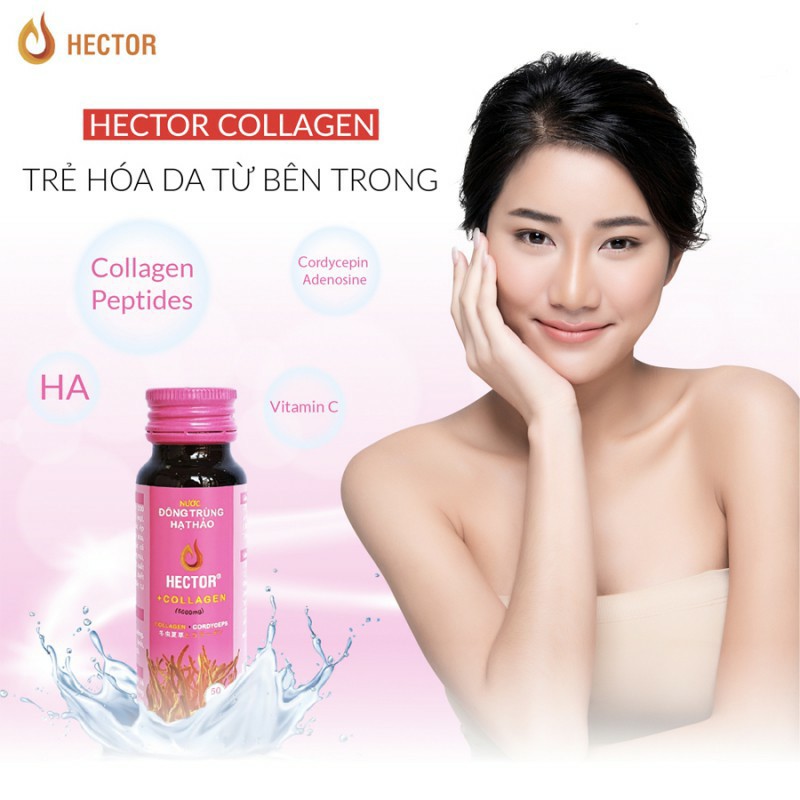 Nước Đông Trùng Hạ Thảo Hector Collagen Hộp 10 Chai Hector Cordyceps Collagen