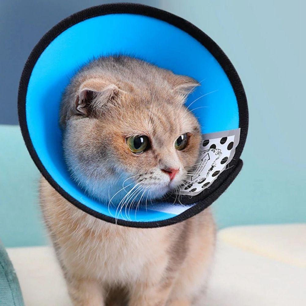 DARON Vòng Đeo Cổ Bảo Vệ Chống Cào Xước Dành Cho Thú Cưng