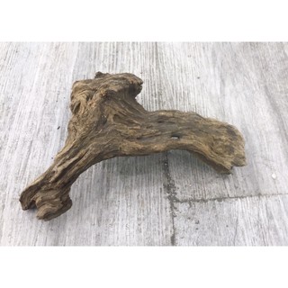 Gỗ Lũa Bé Trang Trí Hồ Cá, Thuỷ Sinh - Ghép Layout
