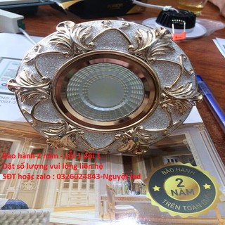 10 Đèn led âm Trần hoa văn mặt đá cao cấp 3 chế độ vừa tất cả lỗ khoét phi 60-76,90,110