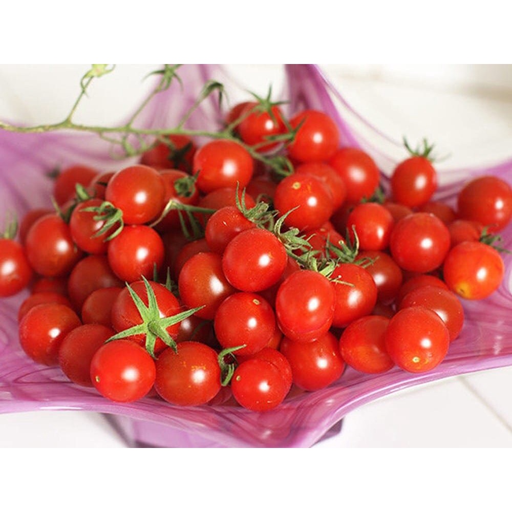 Hạt giống Cà Chua Bi trái nhỏ tròn TN