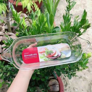 khay nướng thủy tinh lock&lock - khay thủy tinh lock&lock