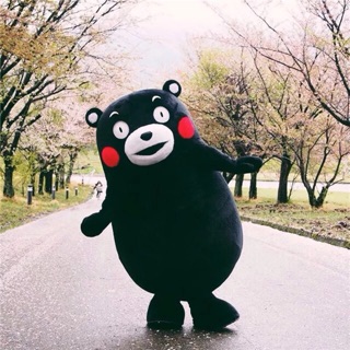 MASCOT GẤU KUMANON (ảnh thật)