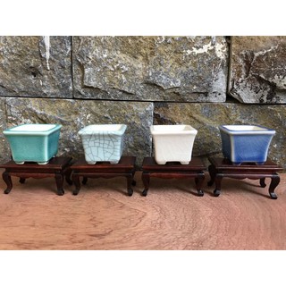 chậu bonsai siêu mini tráng men