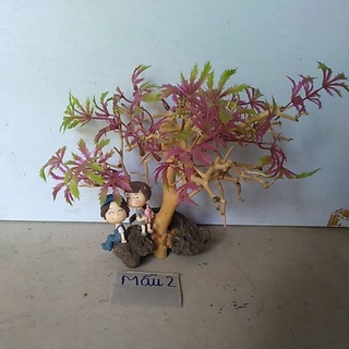 bonsai bể cá cảnh