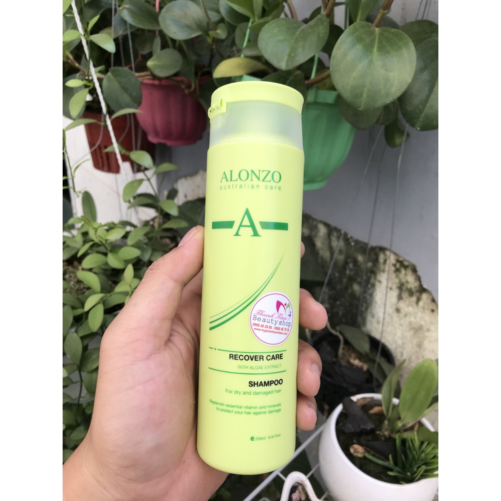 Dầu gội xả Alonzo Recover phục hồi tóc khô và hư tổn 250mlx2