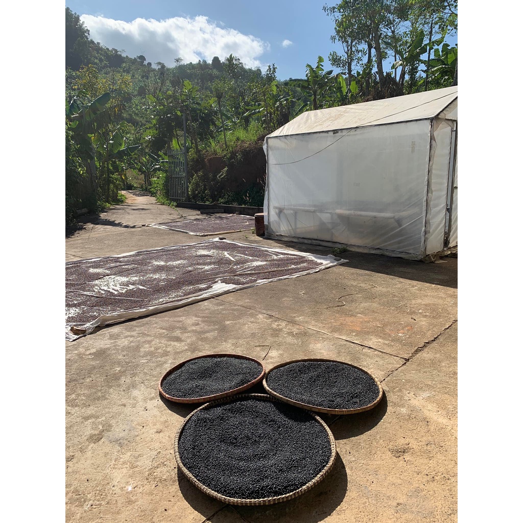 Đậu đen xanh lòng An Hòa gói 1000gr HSD 12 tháng