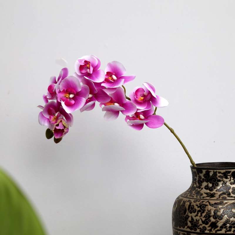 [ẢNH SHOP CHỤP] HOA PHONG LAN Orchid thân cành lớn trang trí nhà Tết hội nghị tiệc cưới