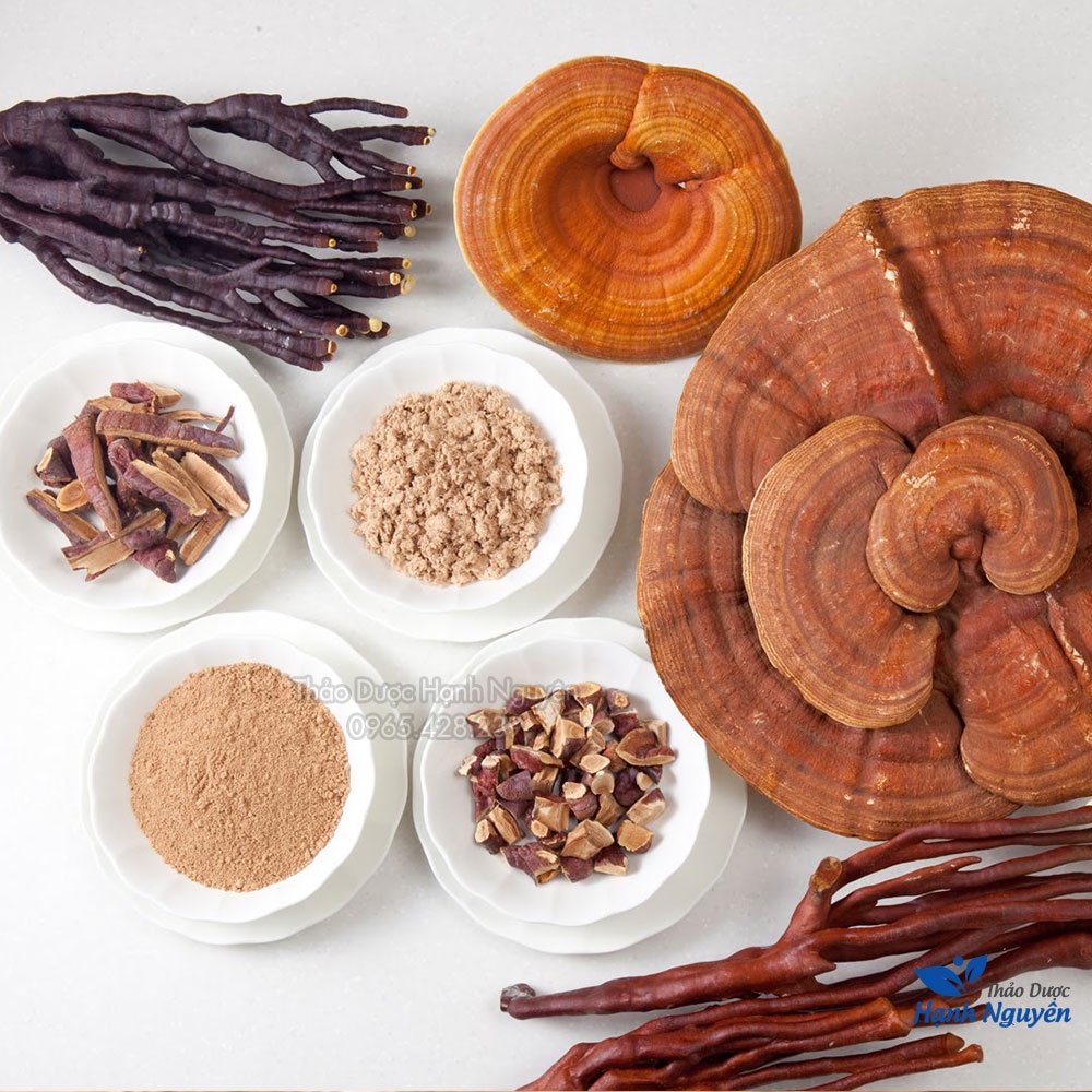 Bột nấm linh chi hàn quốc nguyên chất 100g - Thảo Dược Hạnh Nguyên