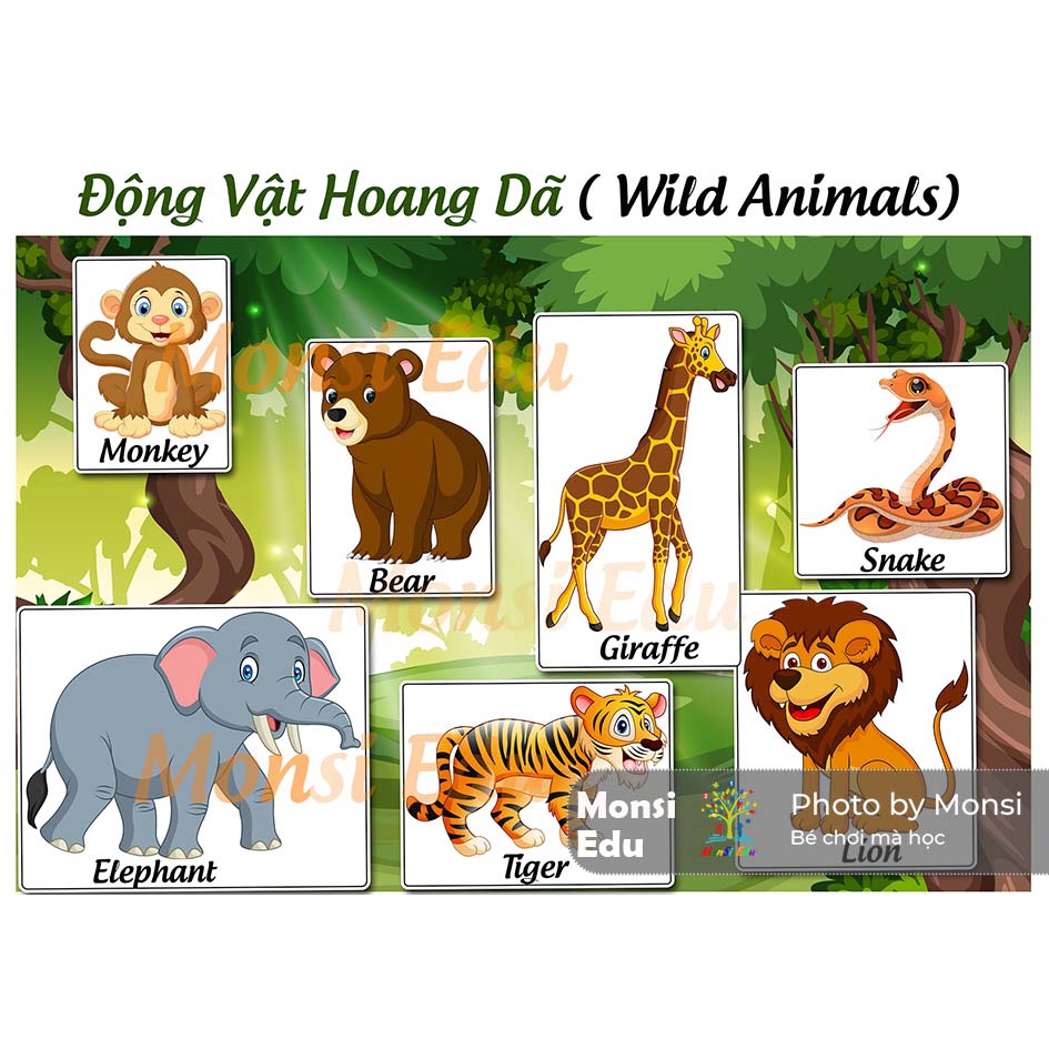 Monsi Edu Học liệu montessori tổng hợp 19 chủ đề Matching Book F18MM